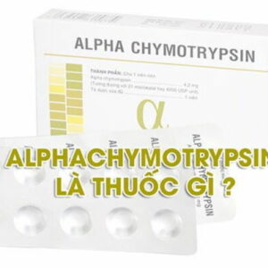 Alphachymotrypsin là thuốc gì? Công dụng, liều dùng thế nào?