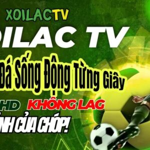 Xoilaclink – Web trực tiếp bóng đá với chất lượng tuyệt vời và tỷ lệ kèo chuẩn chỉ