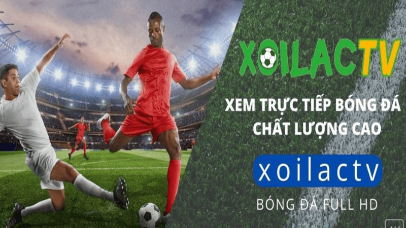 Xem trực tiếp bóng đá miễn phí cùng đa dạng tính năng hấp dẫn tại Xoi Lac TV