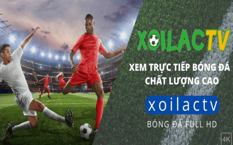 Xem trực tiếp bóng đá miễn phí cùng đa dạng tính năng hấp dẫn tại Xoi Lac TV